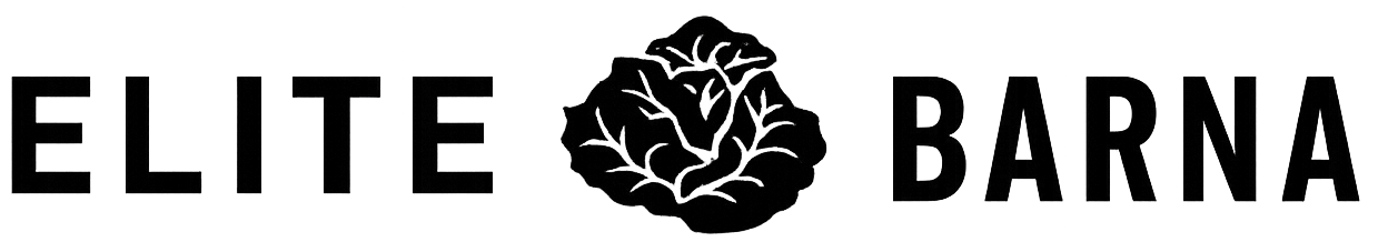 Elite Barna - Featured client in technology solutions